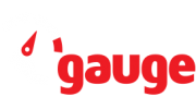 Gauge